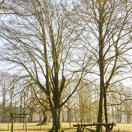 ホテル Hof Tuetsberg