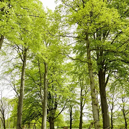 Hof Tuetsberg ホテル ビスピンゲン