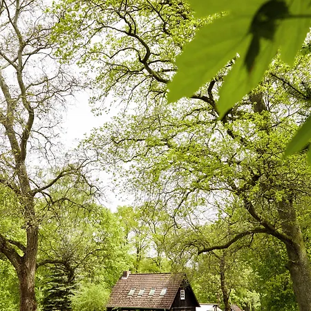 Hof Tütsberg Bispingen