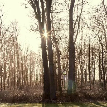 Hotel Hof Tütsberg Bispingen