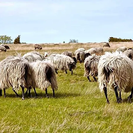 Hof Tuetsberg